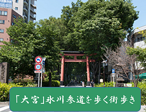 【大宮の街中を巡る？】氷川参道を散策しよう（説明・解説有り）