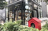 《40代女性限定》原宿 ピーナッツカフェと東郷神社をお散歩しましょう🐶✨⛩️