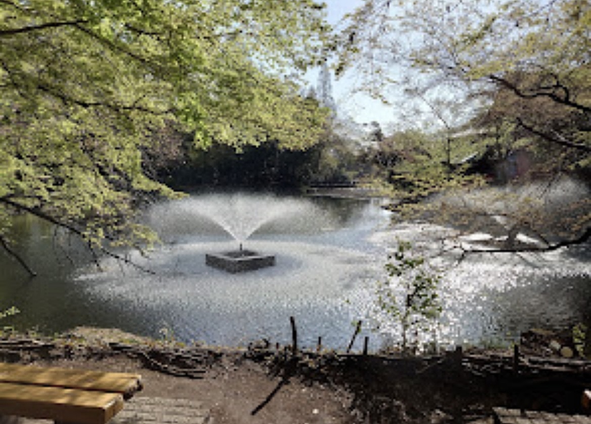 吉祥寺ぶらぶら🌱お洒落カフェ☕️→井の頭恩賜公園を巡る🚶《30代女性限定》