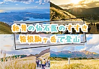 【20-30代 一部40代もOK】絶景の仙石原のすすき草原と箱根の山で軽登山