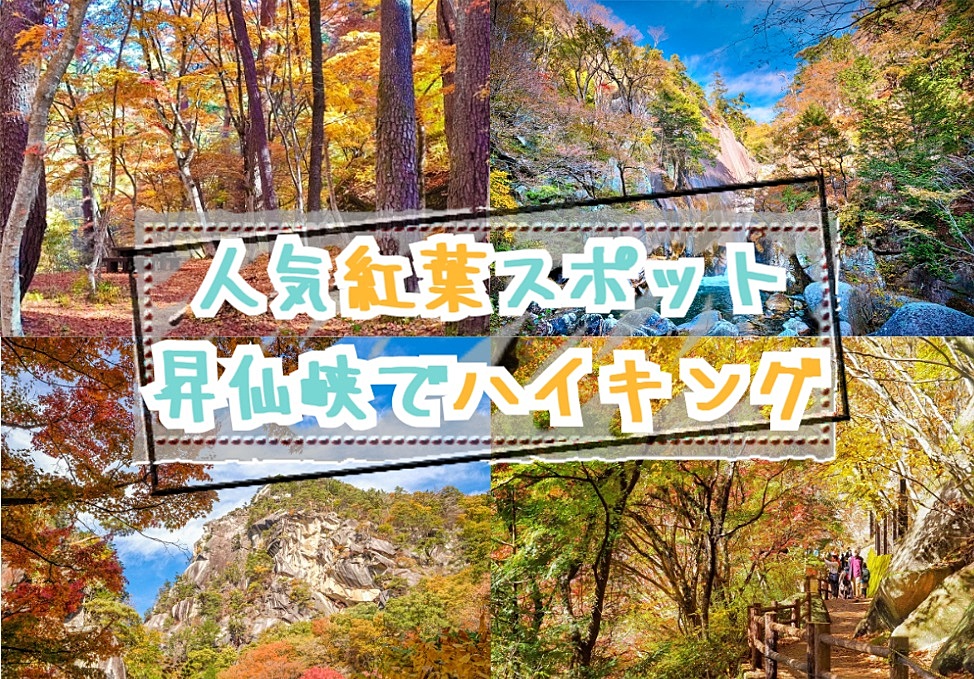 【20-30代 一部40代もOK】日本一の渓谷美といわれる人気の紅葉スポットでハイキング