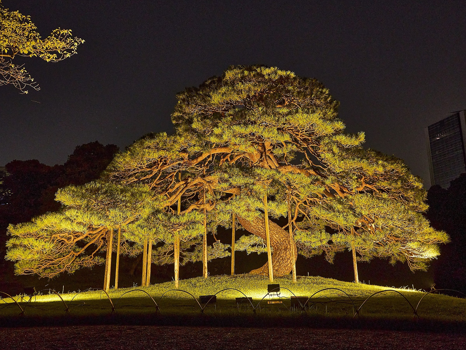 【10月6日限定！！】【雨天決行🙆‍♀️】夜間特別開園「秋の夜長の小石川後楽園」に行こう🍁🍂