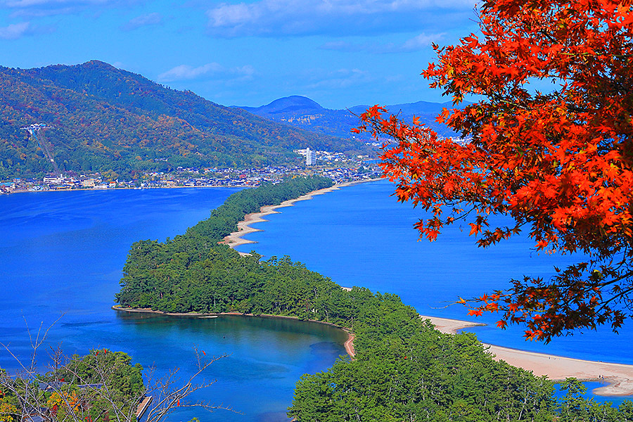 【仮】【京都の紅葉🍁と日本海天橋立🌊】秋の絶景を楽しむ特別な一泊✨