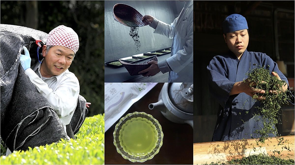 【途中参加OK🙆‍♀️】日本茶の飲み比べや茶道体験などが楽しめる「日本茶コレクション」に行こう꒰ 🍵 ꒱