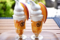 【女性2名主催】“新鮮なフルーツ”で有名なカフェに行こう☕️🌤️🌿