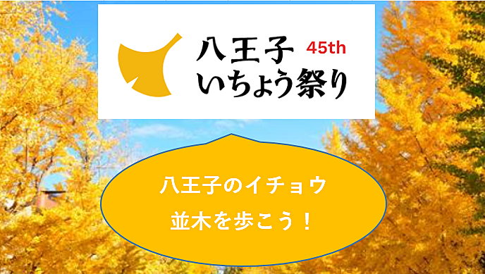 【絵のような幻想のような道？】八王子のイチョウ並木を歩こう（説明・解説有り）