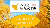 【絵のような幻想のような道？】八王子のイチョウ並木を歩こう（説明・解説有り）
