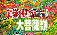 11/4🔰紅葉＆山ご飯体験！🔰◎紅葉をねらいます！日本百名山！大菩薩峠で標高2000ｍの稜線歩きを楽しもう！