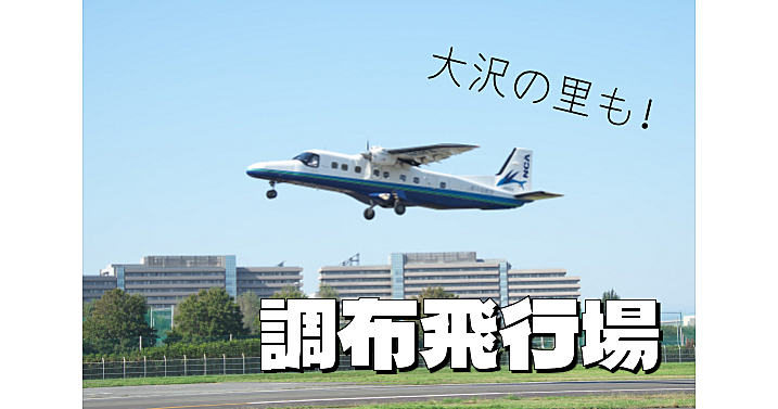 武蔵野の森、飛行場展望台、近藤勇道場、掩体壕、古墳時代の墓群、大沢の里などのんびり巡ります♪