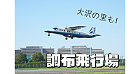武蔵野の森、飛行場展望台、近藤勇道場、掩体壕、古墳時代の墓群、大沢の里などのんびり巡ります♪