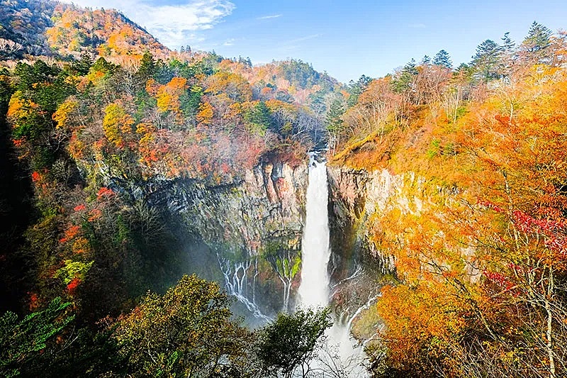 【仮】【紅葉×日光】秋の絶景を楽しむ特別な紅葉狩りツアー🍁✨