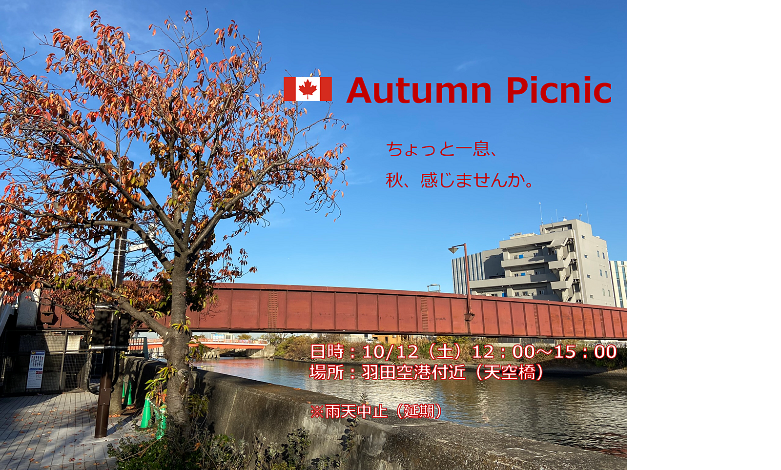 秋のピクニック！＠羽田空港周辺　A picnic event near the airport!