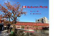 秋のピクニック！＠羽田空港周辺　A picnic event near the airport!