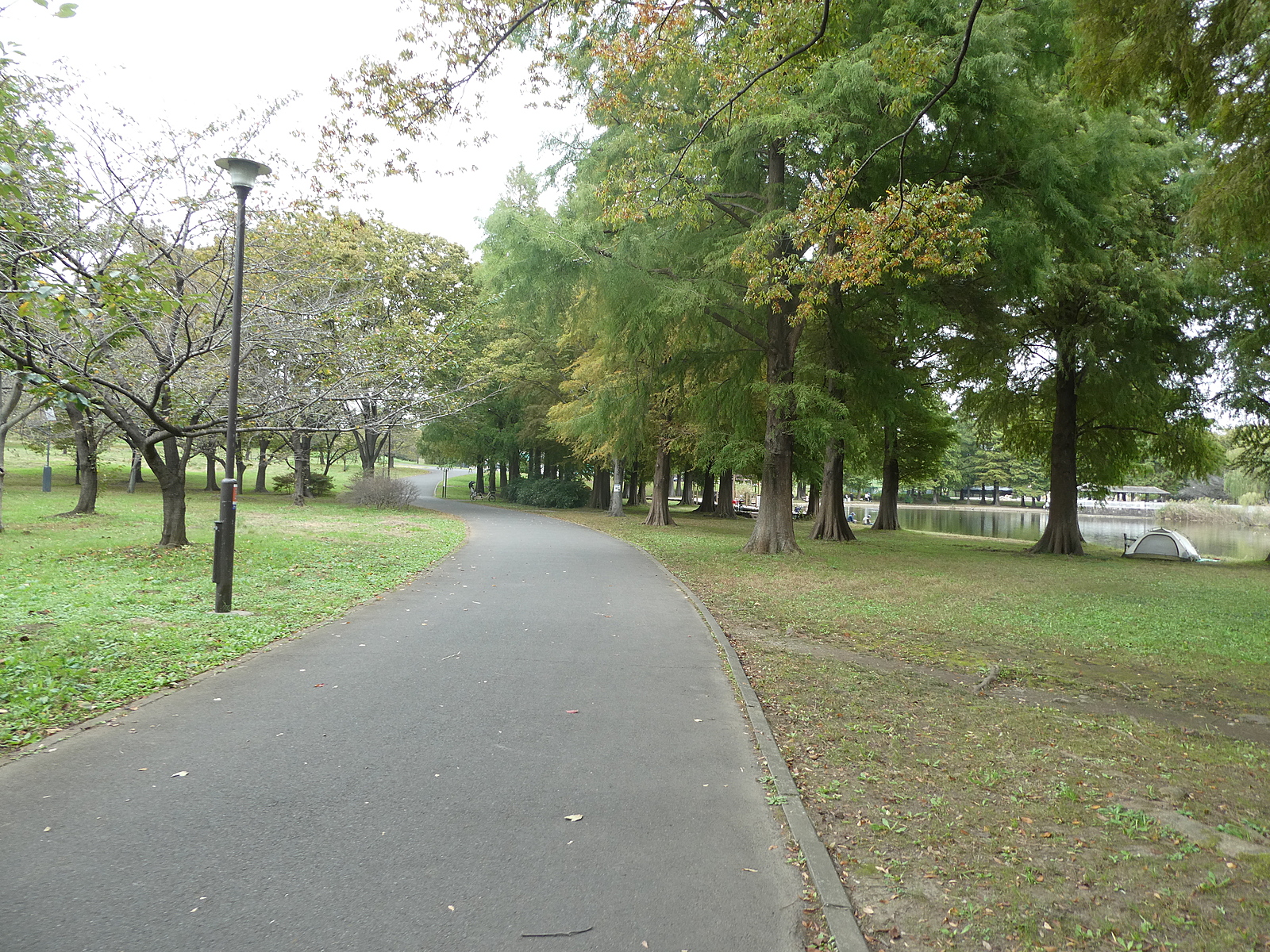 舎人公園でウォーキング＆写真撮影しよう！