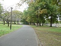 舎人公園でウォーキング＆写真撮影しよう！(2024秋の部)