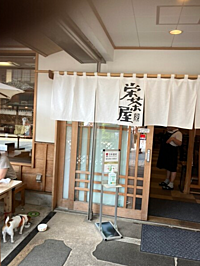 高尾山といえば蕎麦！登る前に腹ごしらえをしよう☀️