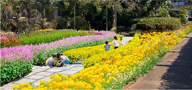 等々力緑地（かわさきフェア）を散歩します✨