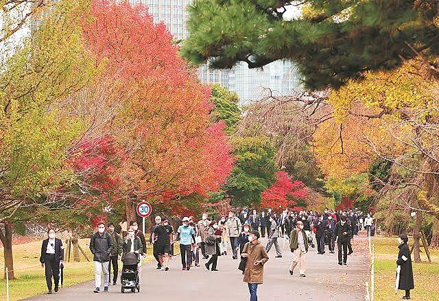 靖国神社⛩️、日比谷公園🍁、皇居🍂を散歩します✨