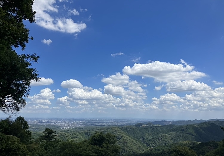 【20代・高尾・少人数】初心者限定！高尾山・小仏城山に登ってみませんか？