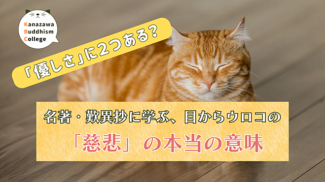 「優しさ」に2つある?名著・歎異抄に学ぶ、目からウロコの「慈悲」の本当の意味