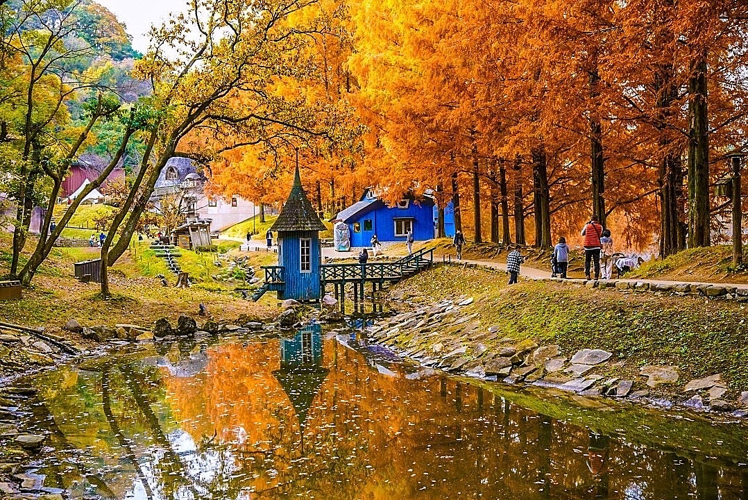 【女性主催】トーベ・ヤンソンあけぼの子どもの森公園に紅葉を見に行こう〜🍁🍁