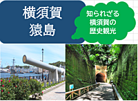 【軍港の歴史を楽しむ】1回目：横須賀の街+猿島巡り（猿島渡航不可の場合は中止）