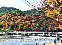 【紅葉の嵐山🍁】絶景ポイントで秋の美を満喫し撮影しよう❗
