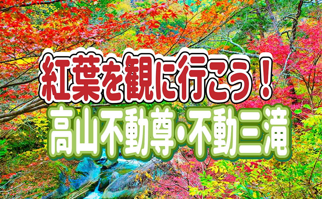 11/30 🔰主催者オススメ🔰◎樹齢800年の大イチョウ◎紅葉の季節に人気の『高山不動尊・不動三滝』に行こう！