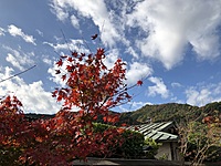 【30代～44歳迄】やきいもフェスに行こうの会＠中野