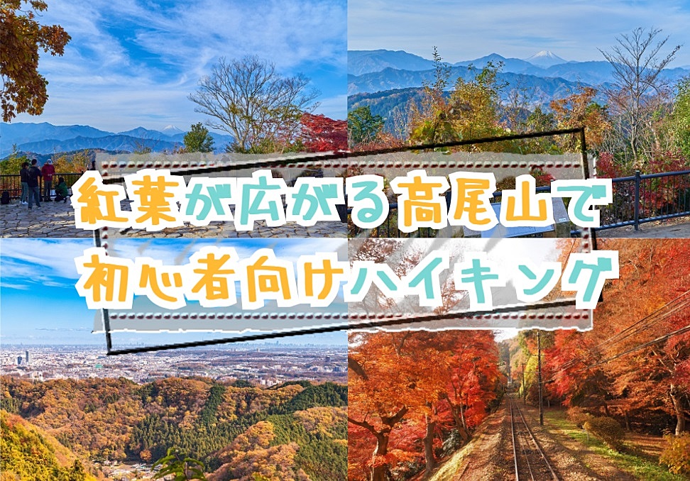 【20-30代 一部40代もOK】紅葉が広がる高尾山で初心者向けのハイキングを楽しもう