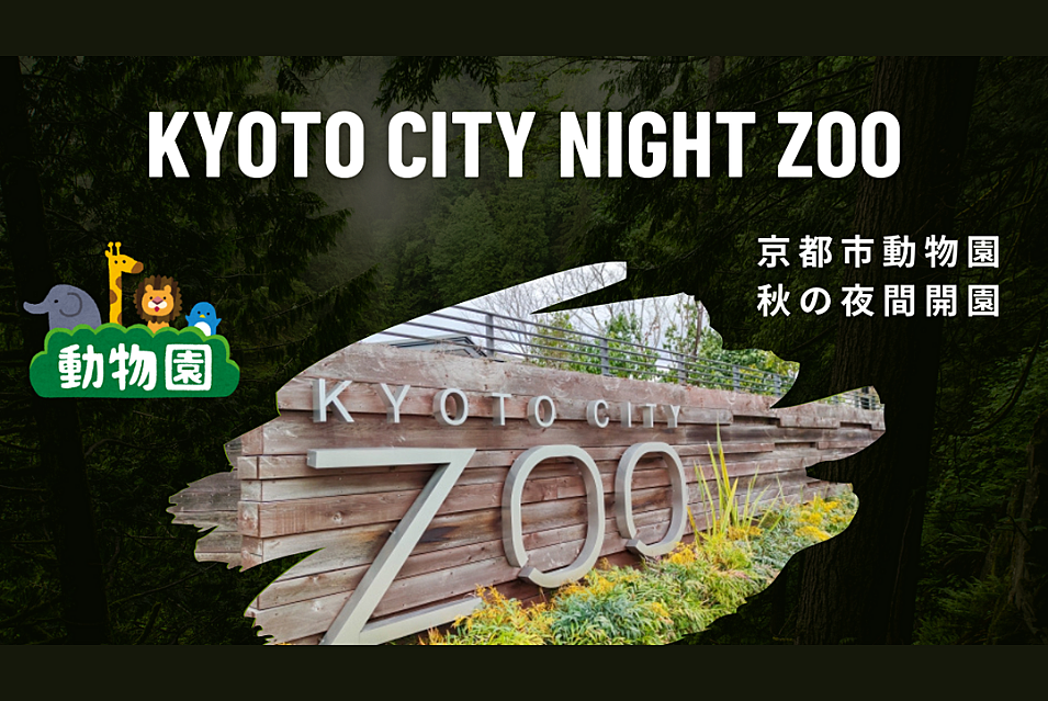 【ナイトズー × 国際交流🌏】京都市動物園: 秋の夜間開園🌃