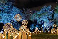 【早割中】ハロウィン仕様の庭園イルミネーションを見に行こう〜⭐🌟🌟