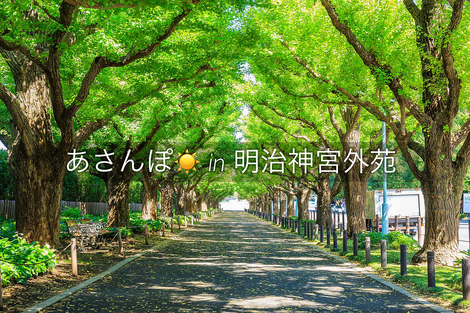 【女性主催】明治神宮外苑周辺ウォーキング☀️🌱