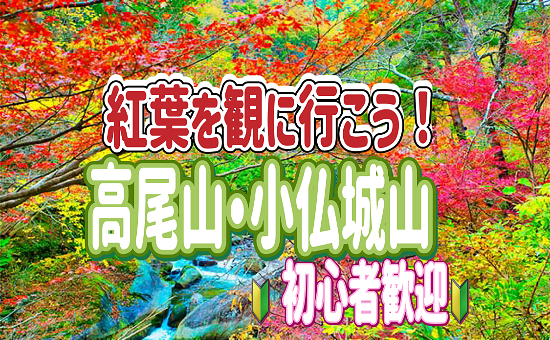 12/8 🔰【早割/20代割引有】高尾山・小仏城山で紅葉を満喫しよう！