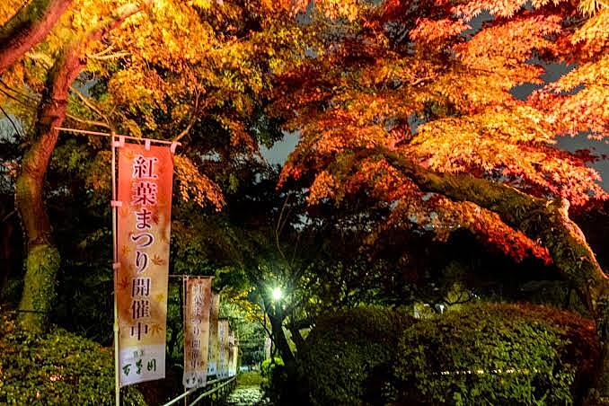 【早割中】百草園の紅葉祭りに行こう✨