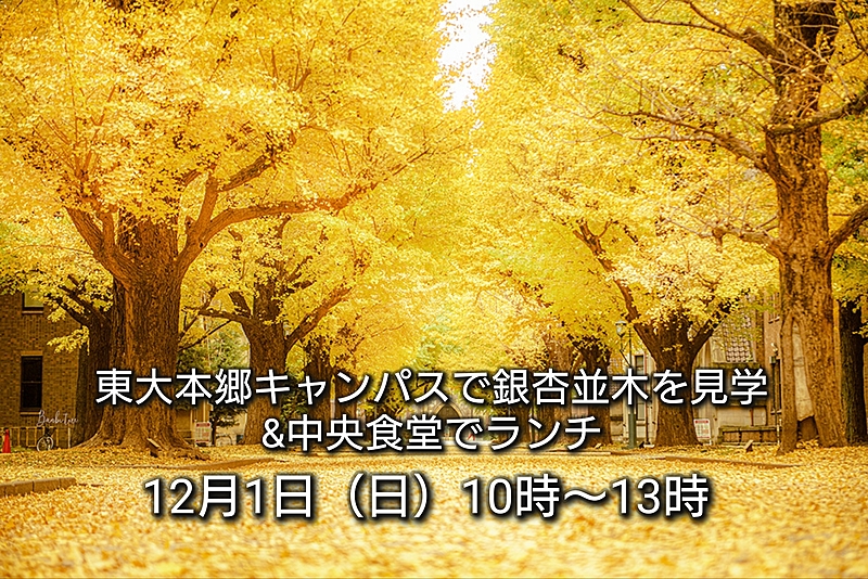 【30代中盤〜40代中心】銀杏並木が綺麗な東大本郷キャンパス散歩&中央食堂でランチ