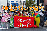 途中参加Ok！化け猫パレードin神楽坂（猫ハロウィン）