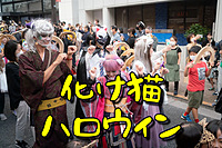 [現在9名]神楽坂化け猫パレードで化け猫になってしまおうの会（見学もOK)