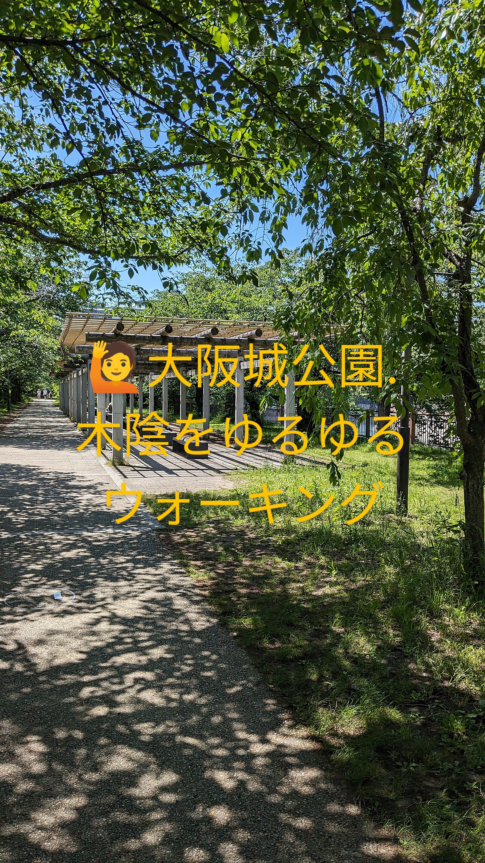 【大阪城公園】木陰で心地よい散策ウォーキングでリフレッシュ🌳✨