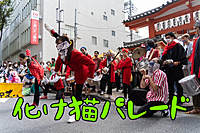 途中参加Ok化け猫パレードなどをひたすら撮影する会(現9)