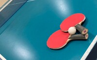 【みんなで楽しむ卓球会🏓】初心者歓迎！笑顔あふれるピンポンパーティー