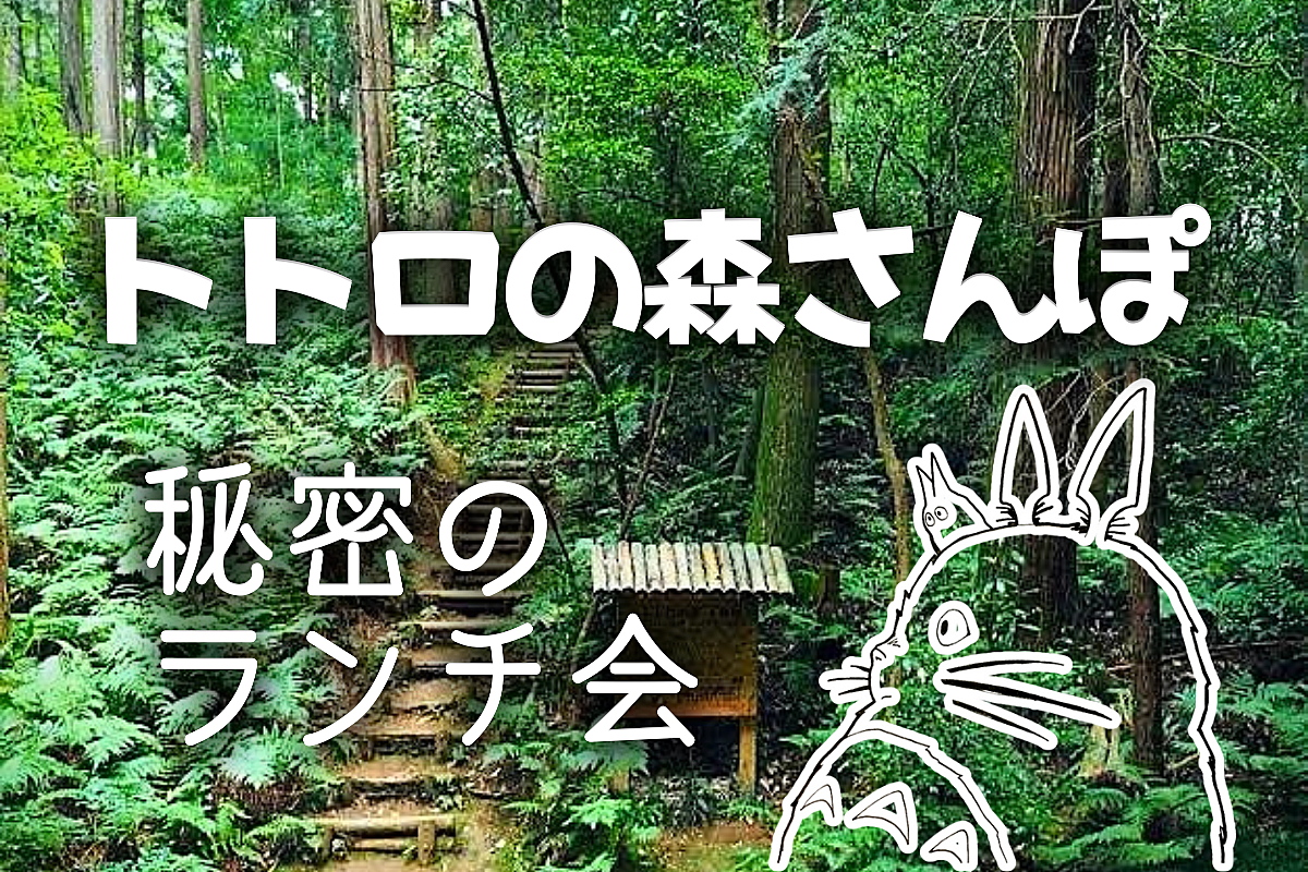 トトロの森散策&秘密のマルシェdeランチ会🍃🎬 