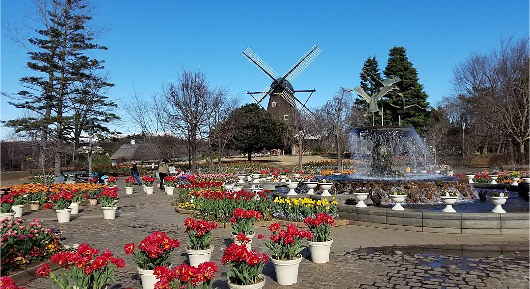 ふなばしアンデルセン公園で散歩•ピックニック