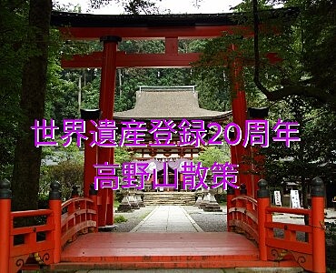 【高野山】世界遺産登録20周年記念を行っている高野山の神社仏閣を巡る