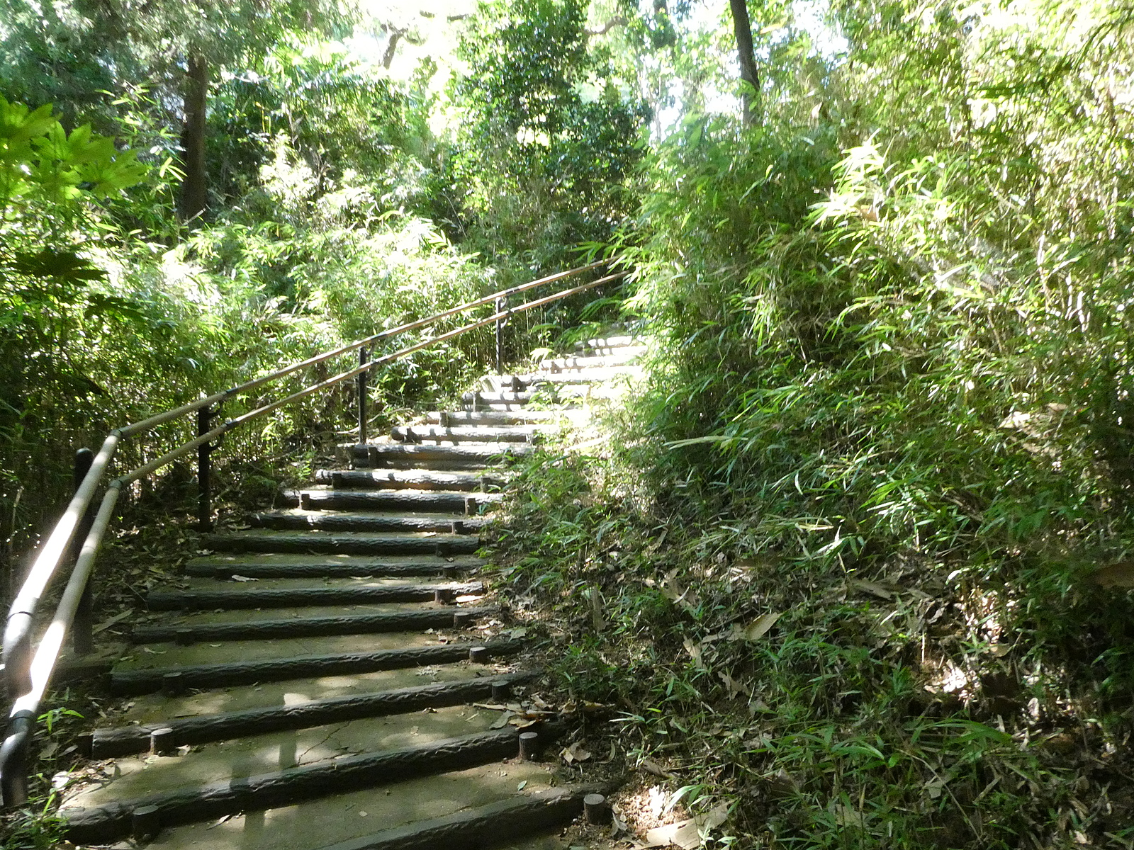 [早割実施中] 筑波山で登山を楽しもう！（2024冬の部①）