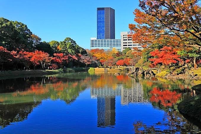 【女性主催】小石川後楽園の紅葉を見にいこう🍁