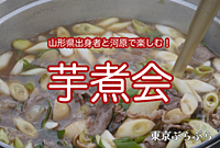 【山形県出身者と楽しむ】第2回芋煮＠河原