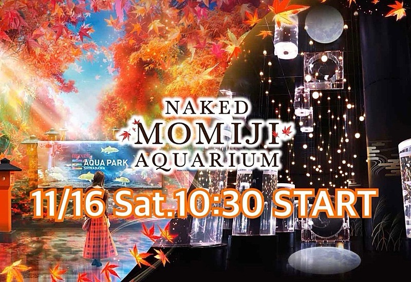 🍁しながわ開催🐟NAKED MOMIJI AQUAPARKで水族館×秋のデジタルアート鑑賞会