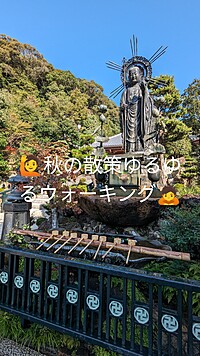 🍀清荒神〜伊丹酒蔵.秋の散策、ゆるゆるウォーキング