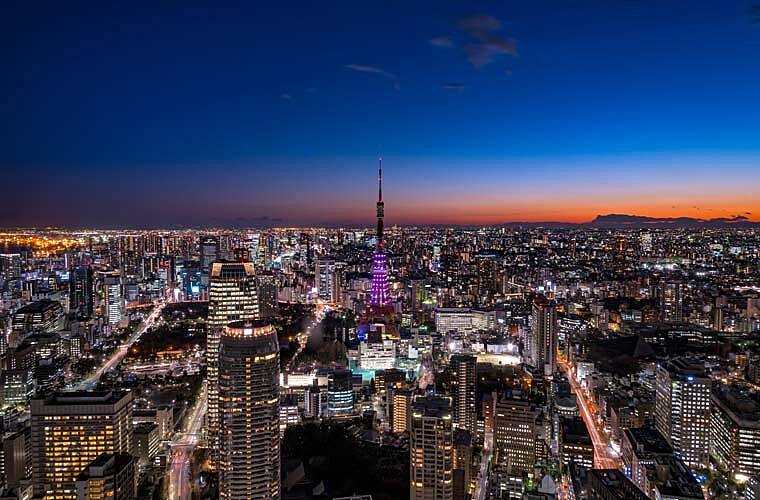 夜景 de 秘密のオトナ飲み会🌃✨